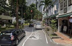 Tanjong Pagar Conservation Area (D2), Shop House #570007181